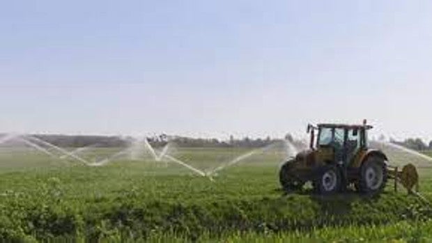 Regantes de Almería exigen infraestructuras para que el agua de lluvia pueda embalsarse para regadío