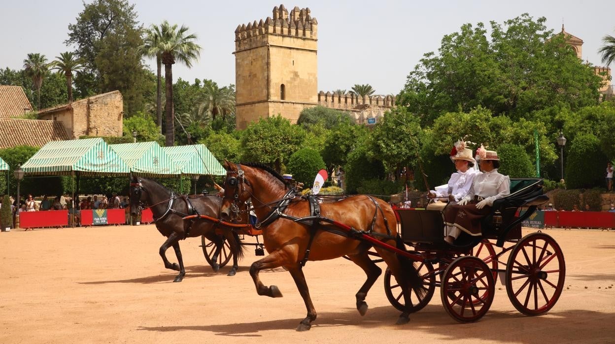 Un momento de la exhibición en el Alcázar de los Reyes Cristianos