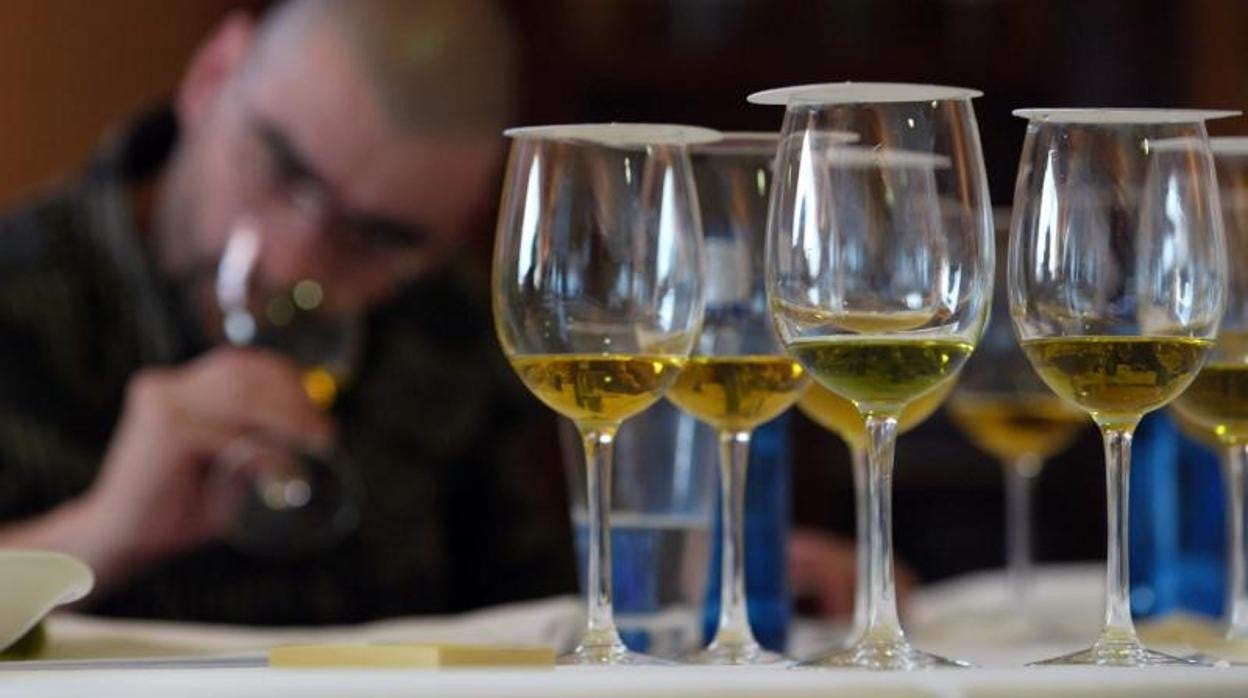 Imagen de archivo de una cata de aceite