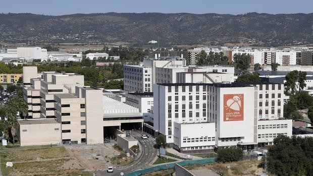 El Reina Sofía, de Córdoba, en la red de hospitales que darán terapias avanzadas para la leucemia y el linfoma