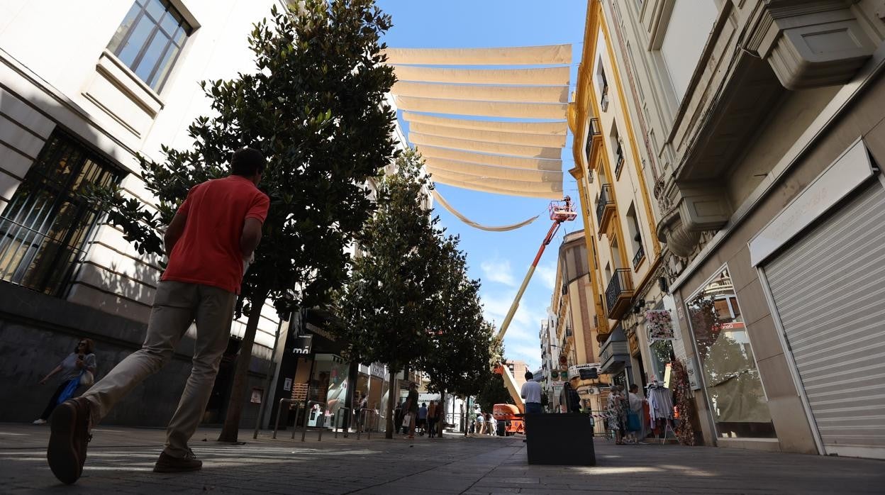 Comienza el entoldado de las calles comerciales del Centro de Córdoba