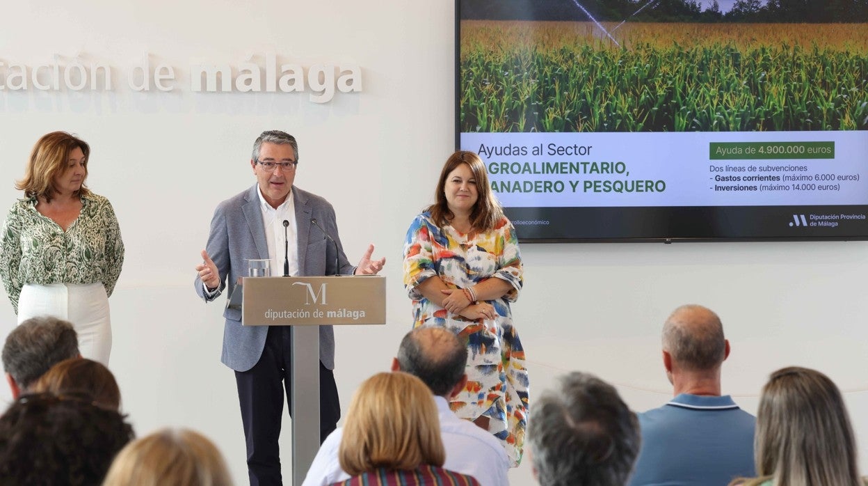 Francisco Salado, presidente de la Diputación de Málaga, presentando el plan económico