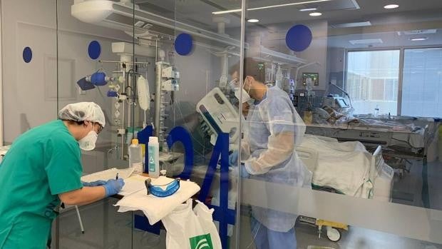 Andalucía duplica los contagiados de viruela del mono en solo una semana