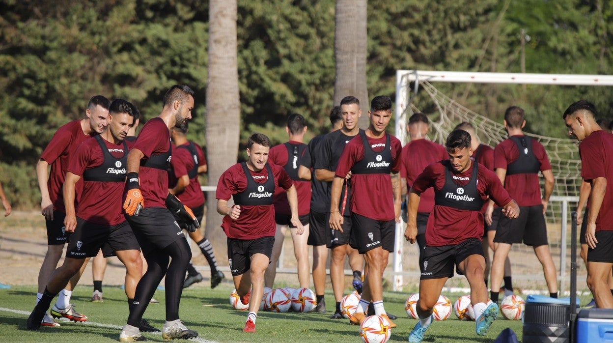 Los jugadores del Córdoba entrenan en la ciudad deportiva