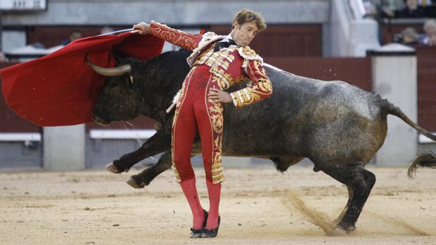 El torero sevillano Manuel Escribano reaparecerá en las Fallas de ...