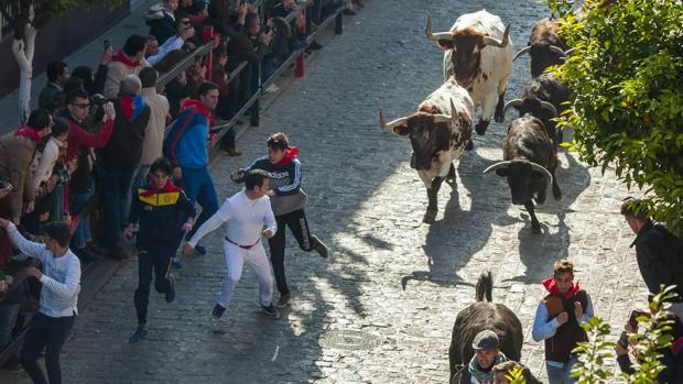 Las primeras citas de la temporada taurina andaluza