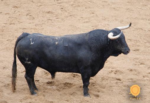Último toro de la tarde para Pablo Aguado