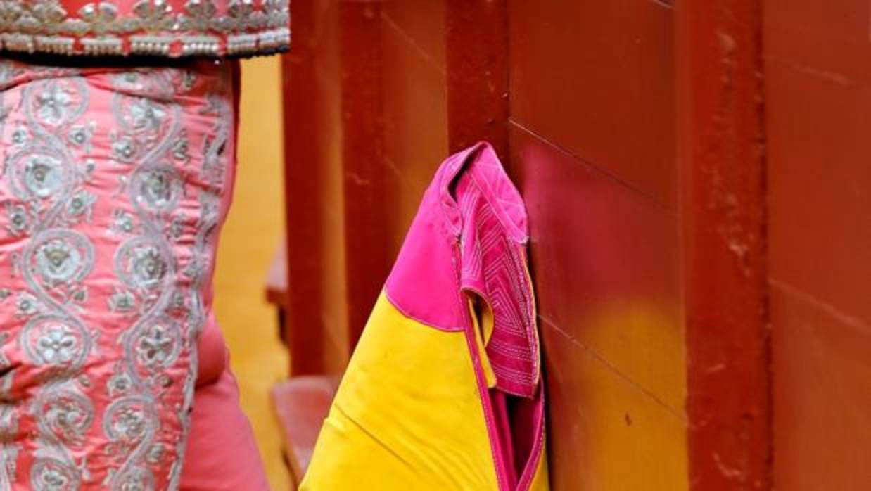 La Maestranza retoma el pulso de su actividad taurina