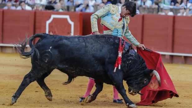 Ángel Téllez, brilló sin espada con un excelente Fuente Ymbro en Sevilla