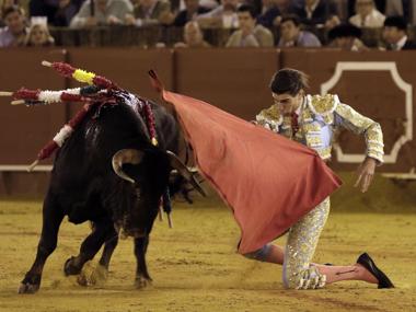 Miguel Ángel Pacheco comienza de rodillas la faena del cuarto -