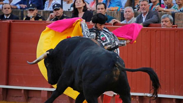 Qué sabemos sobre el galleo del bú