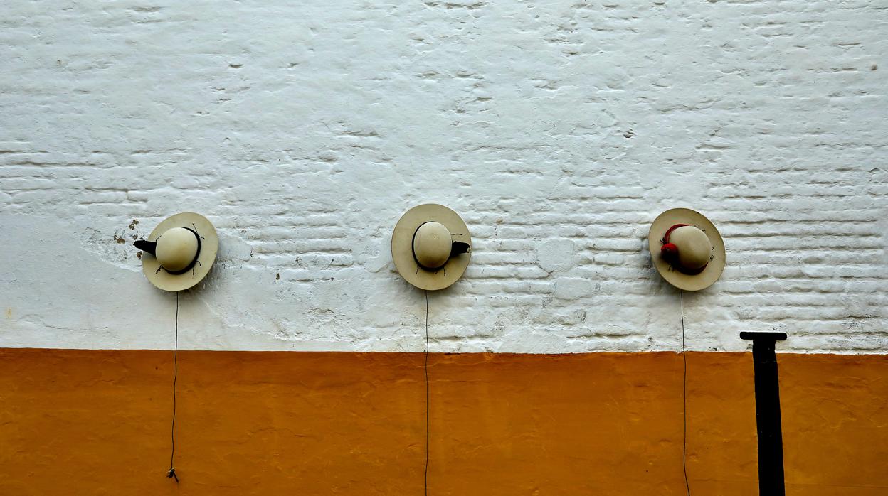 Tres castoreños para los tres Reyes Magos a quienes les pedimos los deseos para 2019