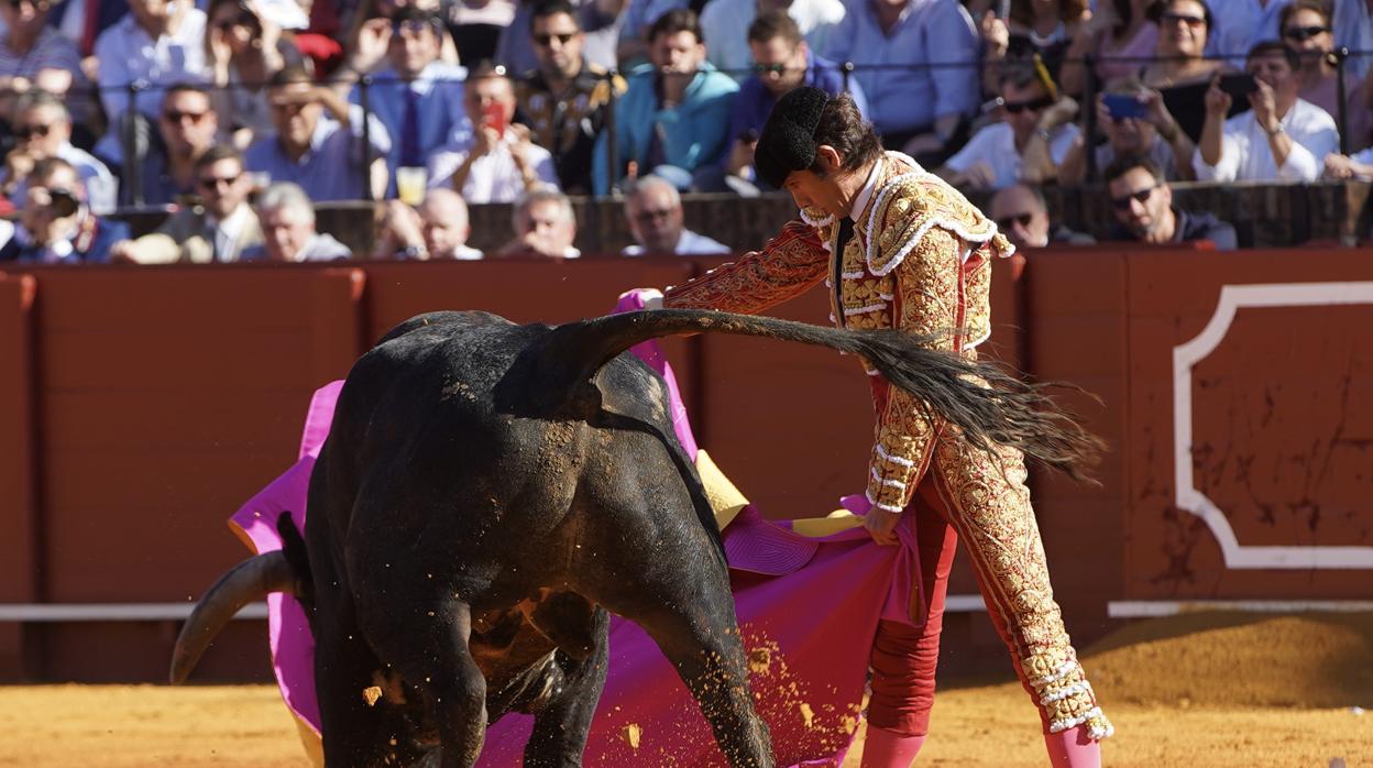 Detalles de la plaza de la Maestranza