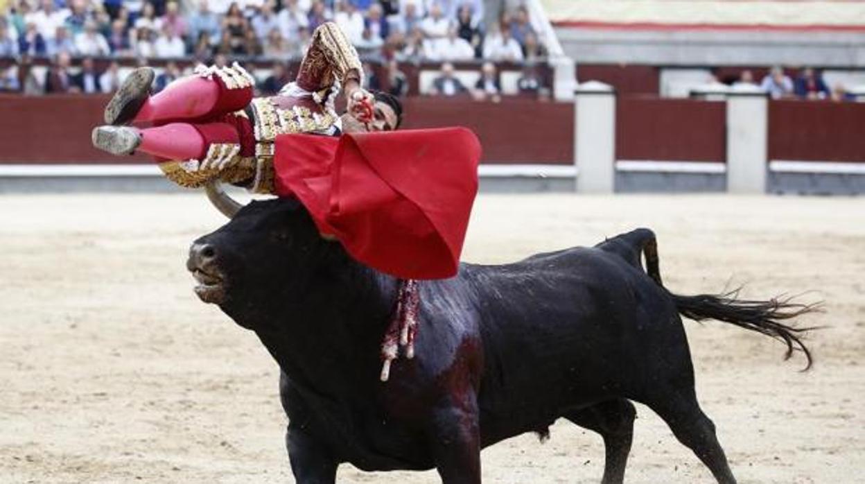Pablo Aguado confirma su baja en Granada y será sustituido por David de Miranda