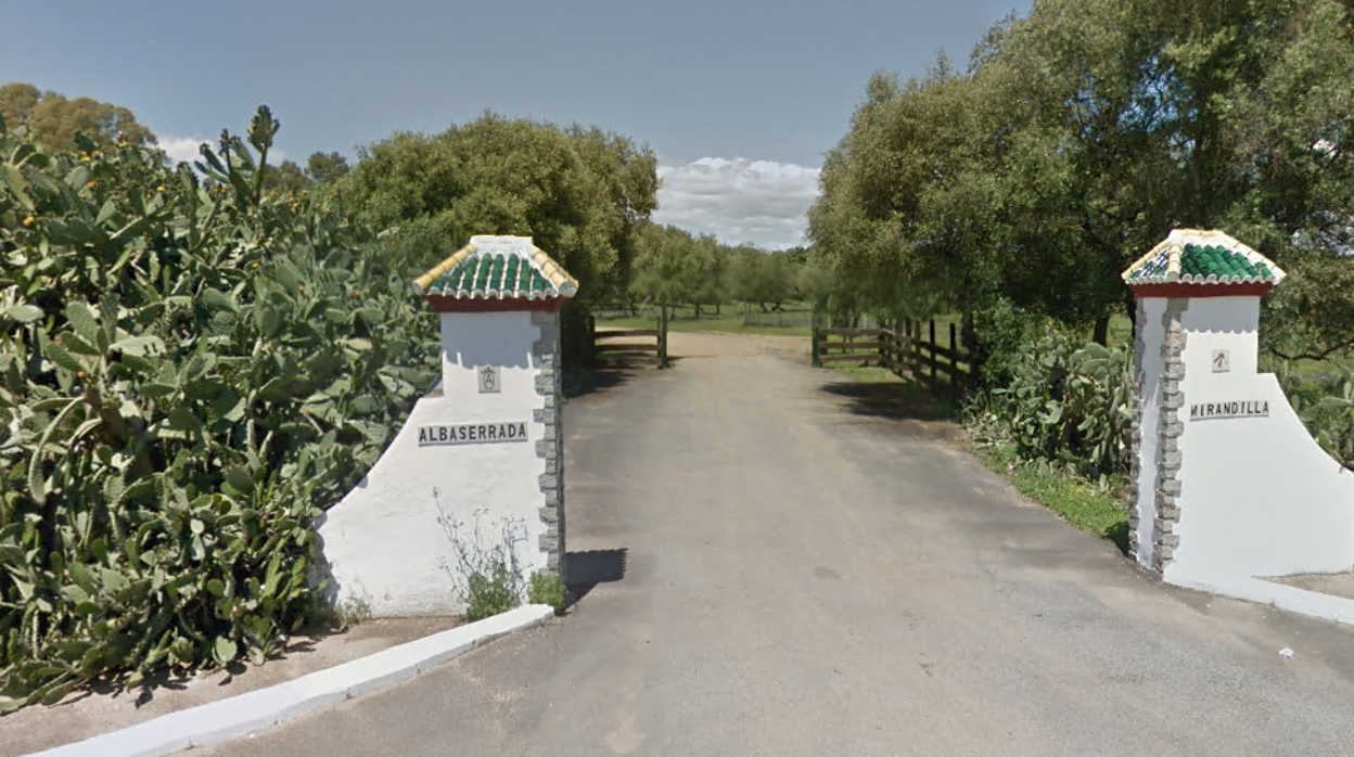 La finca Mirandilla se encuentra junto a la carretera que une Gerena con Aznalcóllar