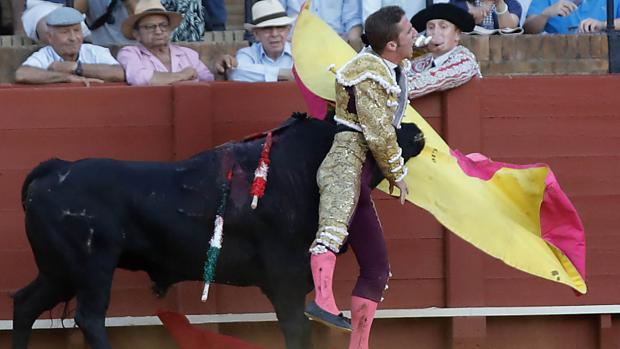 El novillero «Calerito» reaparecerá en México tras su cornada en la feria de San Miguel