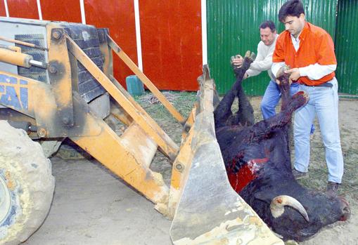En Lucena del Puerto (Huelva) se celebró una novillada el 28 de enero de 2001 y las reses tuvieron que llevarse a Castellón para incinerarse