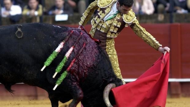 Treinta años de la dramática cornada de Luis de Pauloba