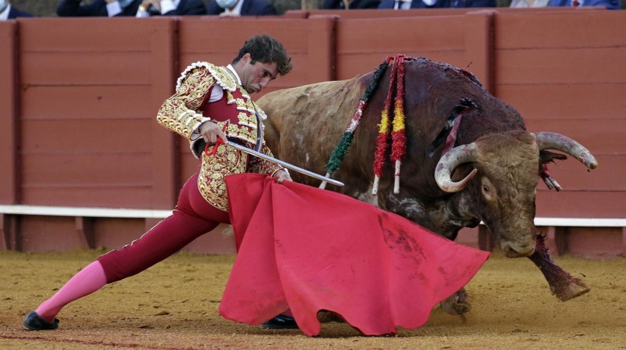 Rafael Serna, sometiendo por bajo a 'Gracioso'