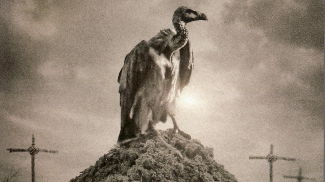 Portada del libro 'Tierra fresca de su tumba', de Giovanna Rivero