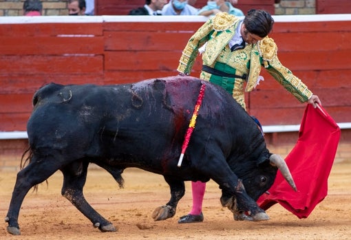 Entre otras muchas ganaderías, también apostó por recuperar Torrestrella en Huelva