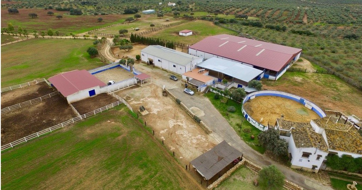 La finca 'La Heroica' está ubicada en el término municipal de Paterna del Campo (Huelva)