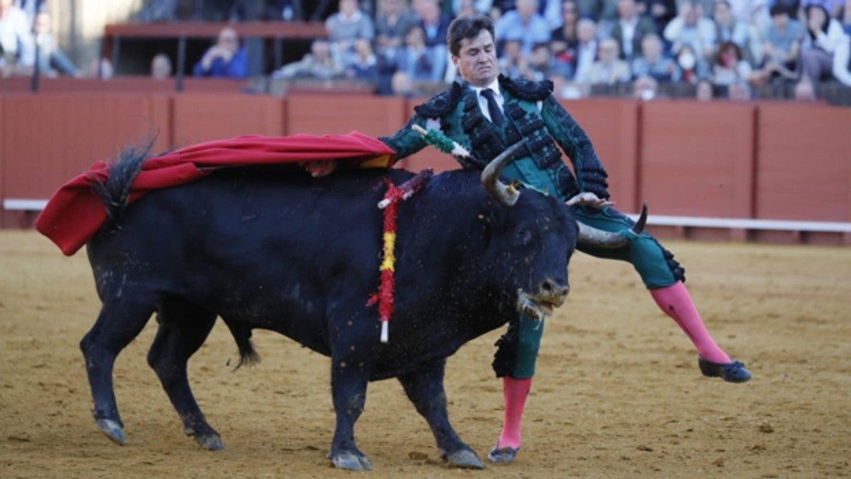 Daniel Luque fue cogido con violencia por el tercer toro de El Parralejo