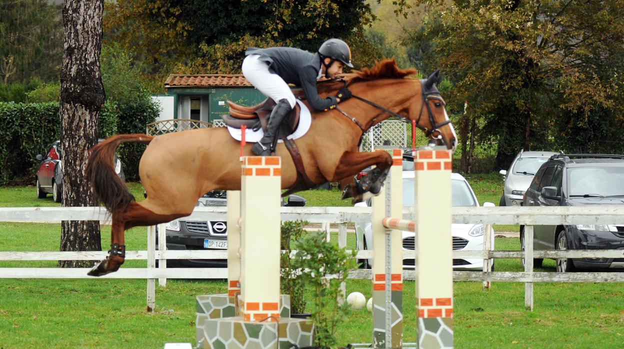 Paco Gaviño, durante un concurso de saltos
