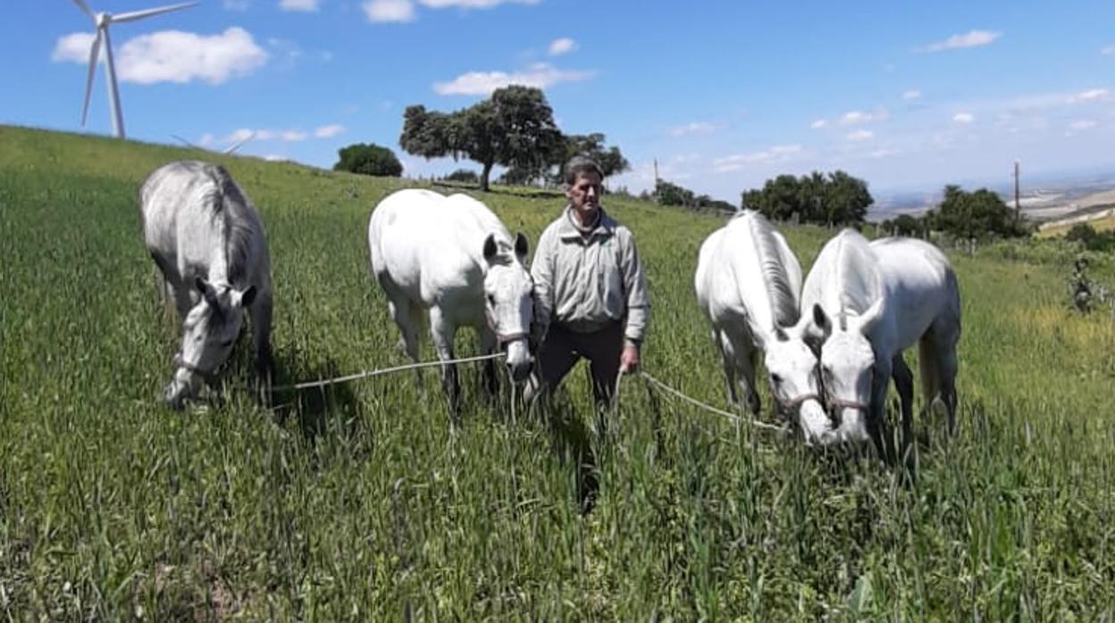 Antonio de la Puerta, con cuatro de los caballos que entrena