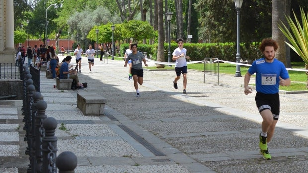 El SADUS celebra el 23 de marzo la XVIII Vuelta al Rectorado