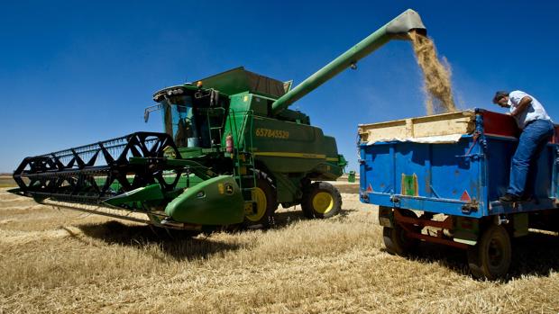 Más fondos para los jóvenes agricultores y recortes en regadíos y agroambientales