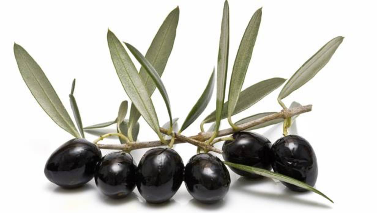 En 2016, las importaciones de aceitunas maduras de España fueron valoradas en unos 70,9 millones de dólares