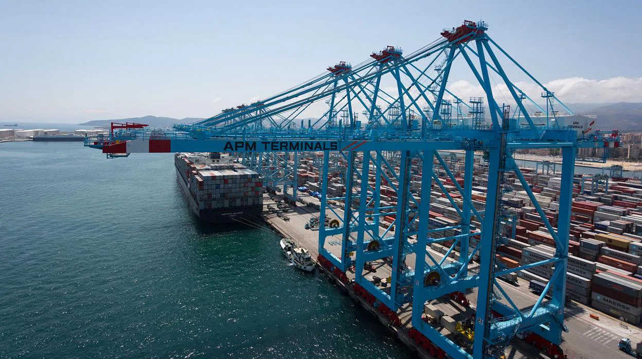 As es APM Terminals el mastodonte que opera en el puerto de