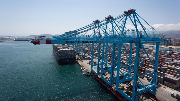 Así es APM Terminals, el mastodonte que opera en el puerto de Algeciras