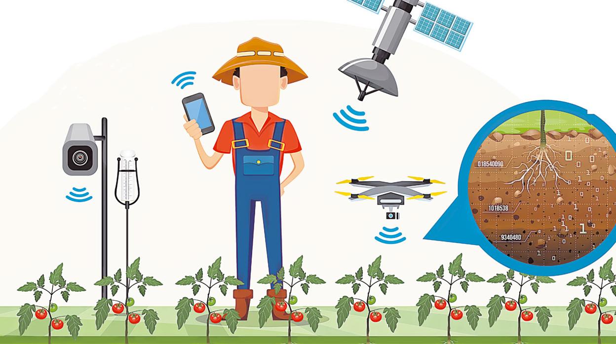Sacrops Tecnología para conocer la madurez del fruto pre cosecha