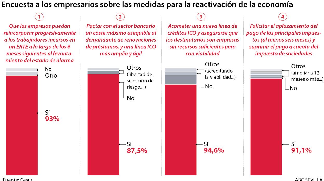 Resultados del sondeo realizado por Cesur entre sus socios