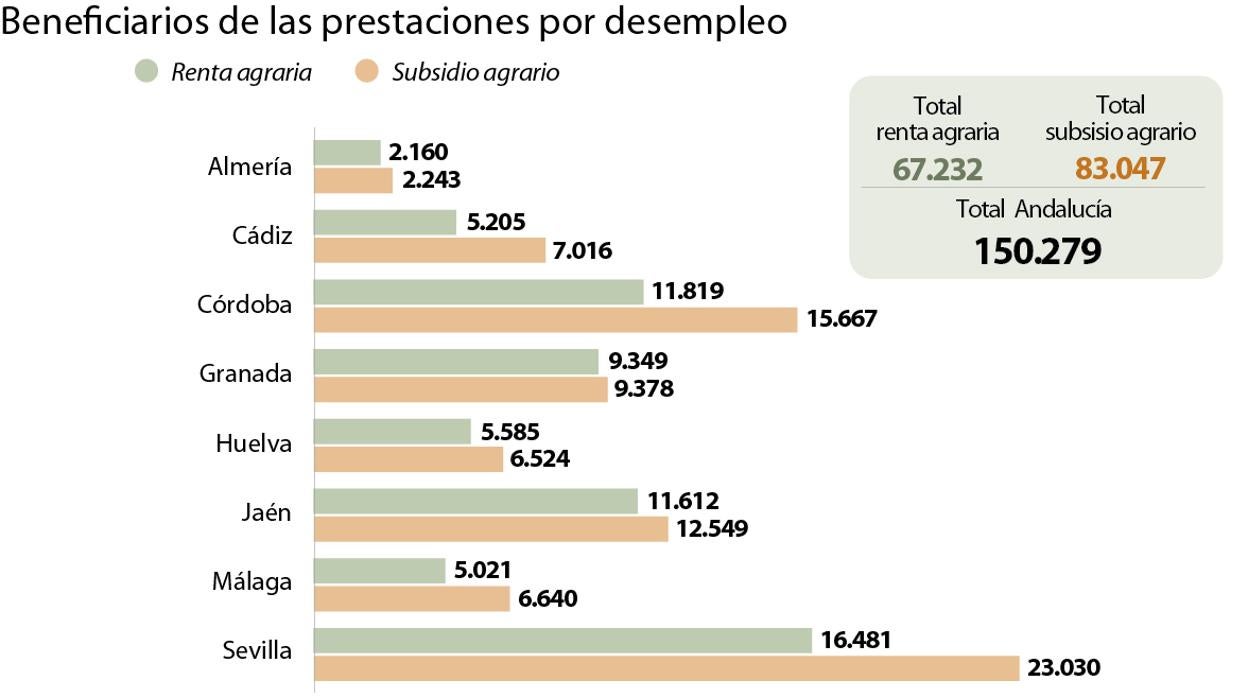 Para la recogida de la fresa, los agricultores onubenses contratan contingentes de marroquíes