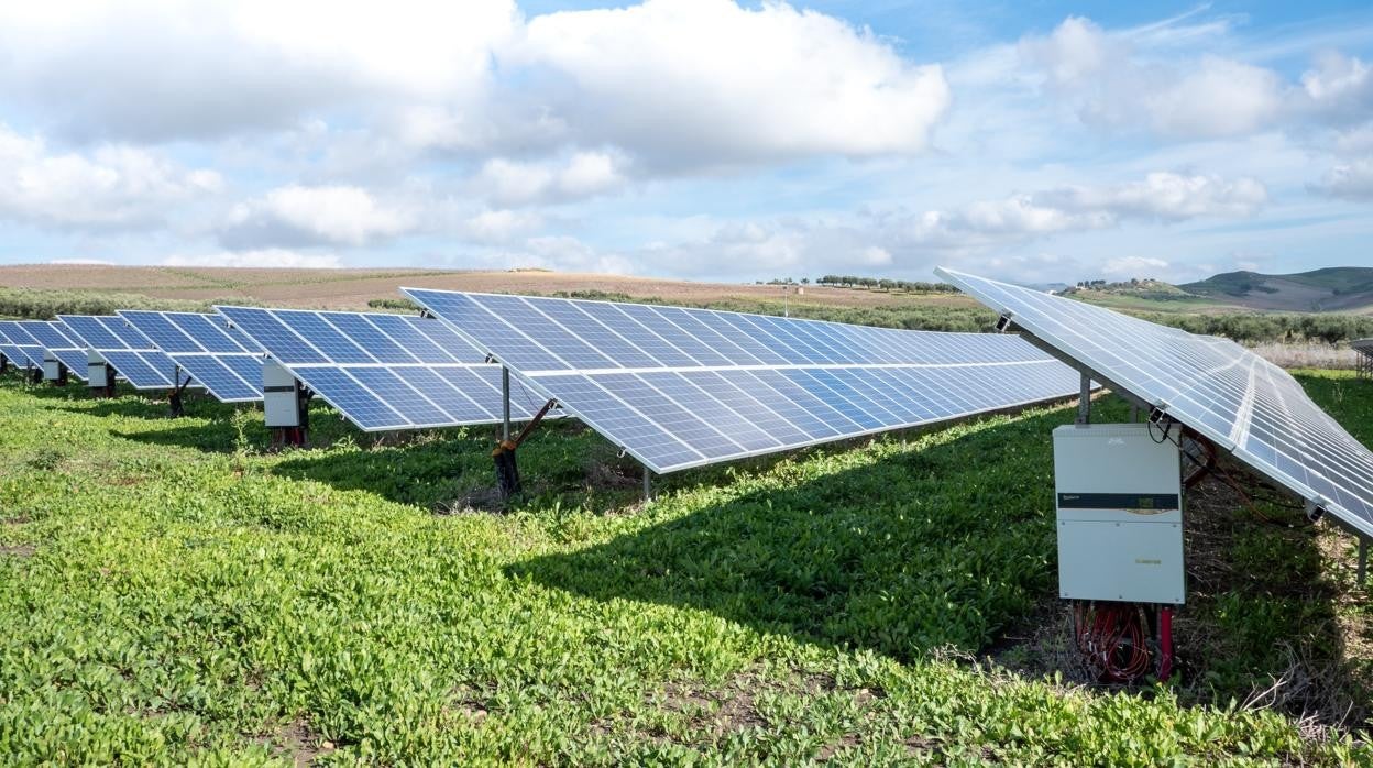 La plataforma de inversión en energía verde del fondo de pensionistas de Canadá se alía con la firma española Benbros Solar para desarrollar 14 proyectos fotovoltaicos en España