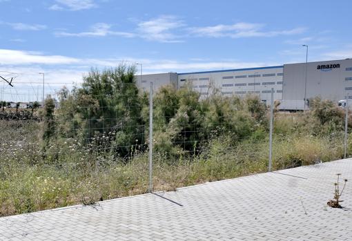 La parcela donde construirá el Grupo Puma en Megapark está próxima al centro logístico de Amazon de Dos Hermanas