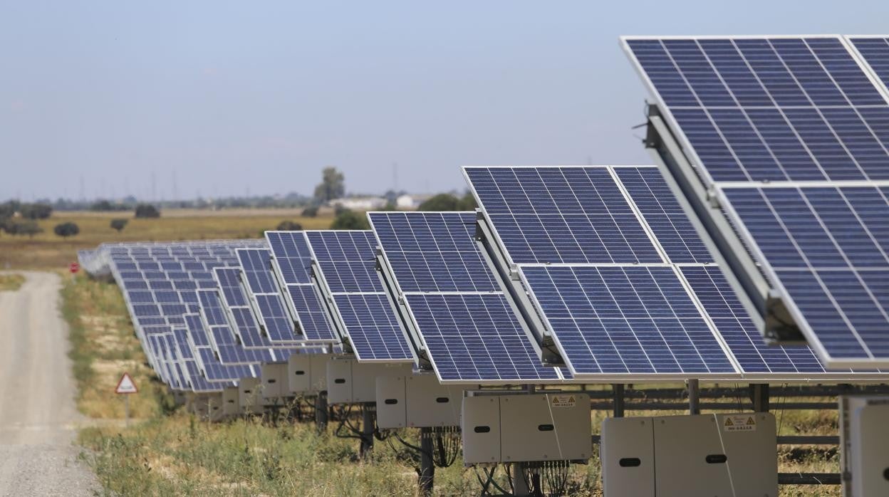 Planta solar de Amazon La Cabrera-Solar Century. Alcalá de Guadaira