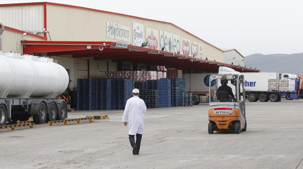 A corto plazo hay que preservar la liquidez y, a medio y largo, hacer una reforma fiscal