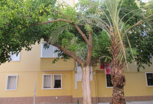 Exteriores de la casa