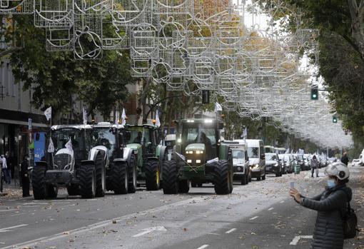 El campo protesta por la nueva PAC y la subida de costes con una tractorada en Córdoba