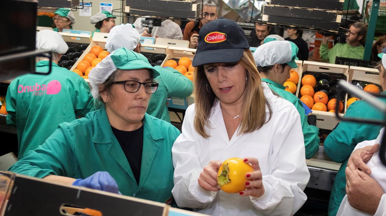 La candidata del PSOE, Susana Díaz, conversa con una trabajadora en una visita a una cooperativa de Lepe