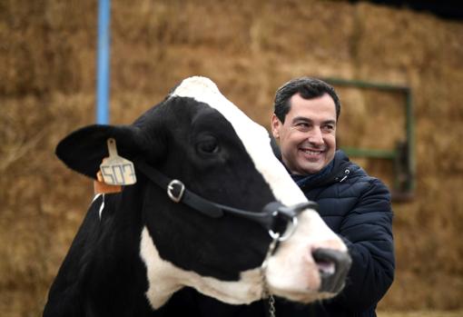 Moreno junto a la vaca 'Fadie' en noviembre de 2018