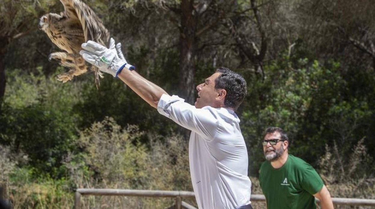 Moreno. en la suelta de un búho real en Chiclana de la Frontera