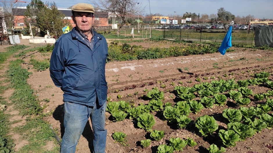 Kilómetro cero: Alfonso Molina, el hortelano que resiste al cemento y el asfalto
