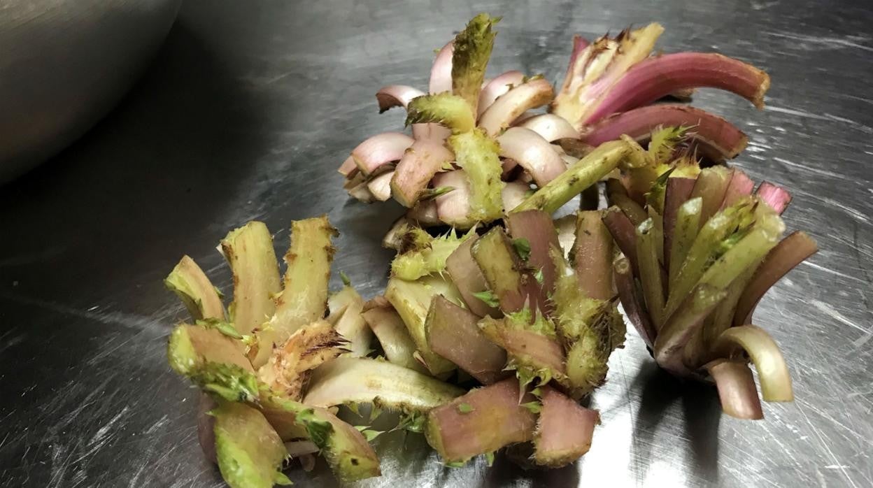 Las tagarninas vuelven a protagonizar la gastronomía de Montellano