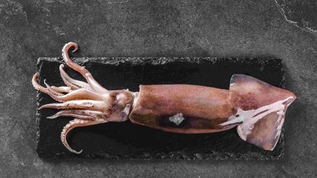 8 recetas con calamares fáciles y económicas para disfrutar de este molusco