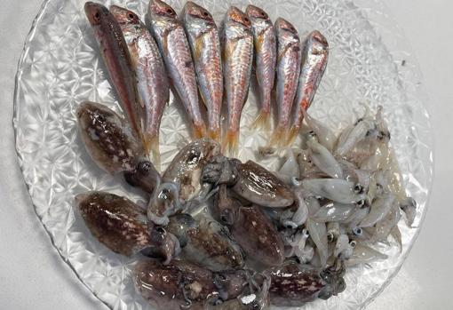 Los mejores restaurantes de pescado y marisco de la provincia de Almería